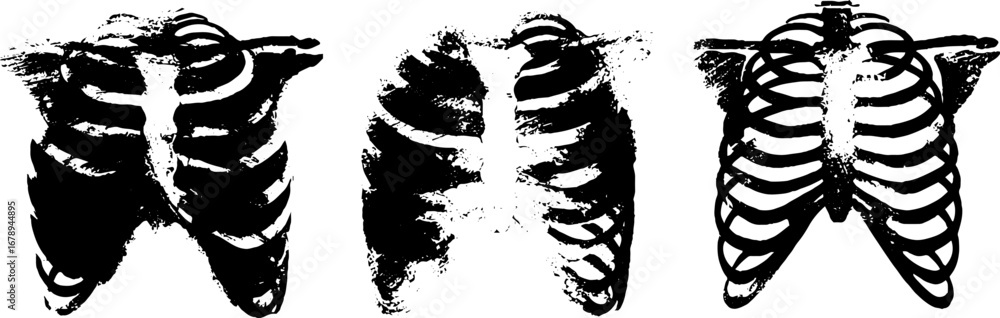 Black and white ribcage stencil set for artistic and design projects ...