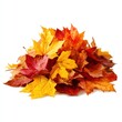 © Rawpixel.com - Autumn leaves pile leaf background decoration.