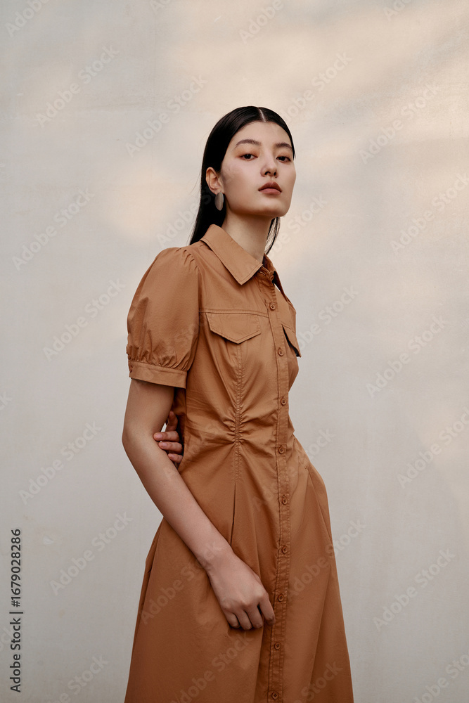 Modern woman in brown dress standing against a simple background. Stock — free download