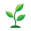 © Fazla - Green plant sprout with three leaves, flat vector illustration, isolated on white background