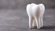 © mila103 - A white ceramic tooth model is positioned on a textured gray surface, serving as a visual aid for discussions about dental health, hygiene, and education in dentistry.