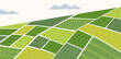 © SpicyTruffel - Field pattern. Farm grassland texture, geometric forest countryside with country farmland plants. Grass patch. Rural organic landscape. Environment care symbol. Vector background
