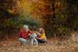 © Halfpoint - Senior couple walking dog in autumn forest.