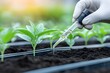 © Наталья Лазарева - Hand in glove applying liquid fertilizer to young green plants in soil, showcasing sustainable agricultural practices for growth enhancement. soil analysis, sustainable development, fertilization,