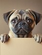 © EwaStudio - Cute pug dog with a blank billboard