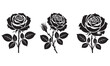 © Salirtun - Elegant Rose Illustrations for Timeless Beauty and Romantic Design
