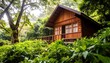 © Warta - A charming little wooden cabin nestled amidst lush greenery, bathed in soft sunlight.