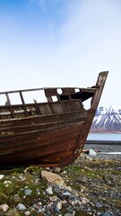  Decaying wooden shipwreck on the shore