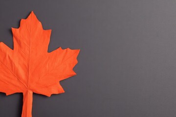 single orange maple leaf on dark gray background