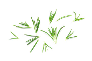 Wall Mural - Leaves of fresh rosemary isolated on white background, closeup
