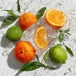 © Ajyad - Fresh citrus fruits on ice