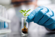 © Emanuel - A scientist planting a seedling in a glass container symbolizing biotech