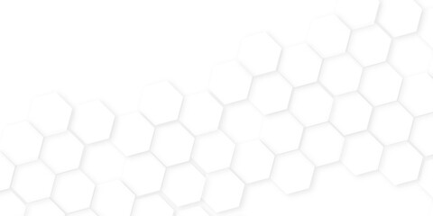 Wall Mural - Abstract background with hexagon, modern abstract vector polygonal pattern. Futuristic honeycomb mosaic white background,white and gray hexagon honeycomb geometric copy space.