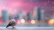 © rashyn - Pigeon stands in winter snow against city skyline with colorful lights