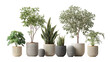 © Hadiyah - Collection of Potted Plants with Varied Textures and Geometric Pots