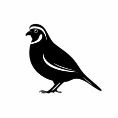 quail bird black silhouette vector, Simple silhouette Design vector icon with white background. Wild bird