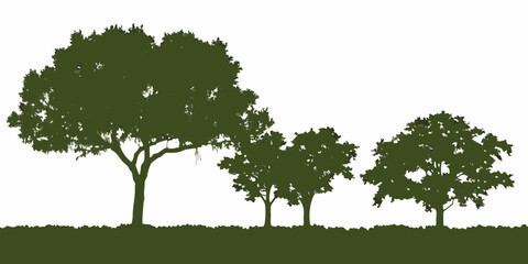 Silhouette of three green trees on a white background with a grassy foreground