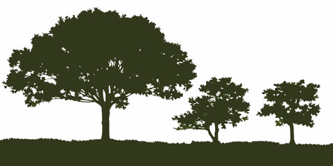 Three diverse trees silhouetted against a white background