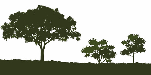 Silhouette of three trees on a white background with green foliage