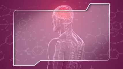 Wall Mural - animation of screen over human body spinning and chemical structures