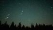 © DigitalDruid - A pale green night sky filled with stars and 47 falling meteors above the outline of pine and spruce trees