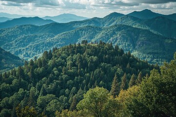 Wall Mural - scenic hills covered in dense greenery