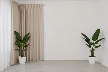 Wall Mural - contemporary room decor featuring curtains and greenery