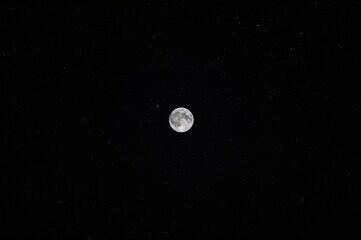 Wall Mural - night sky illuminated by the moonlight