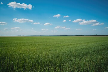 Wall Mural - scenic view of a clear blue sky over a colorful landscape