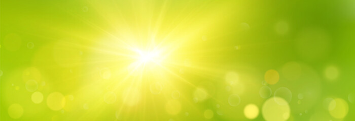 Wall Mural - bokeh background on green summer backdrop with soft blur and light effect. fresh natural abstract ov