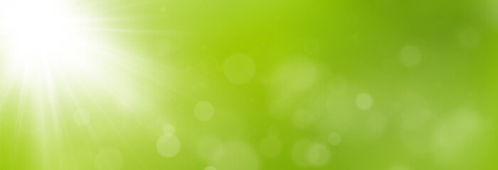 Wall Mural - bokeh background on green summer backdrop with soft blur and light effect. fresh natural abstract ov