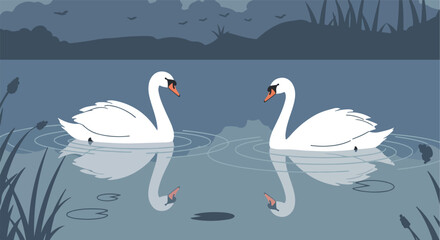 Naklejka na meble Swans Swimming Reflecting in Lake in Natural Environment, Flat Vector Style