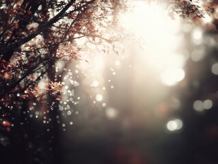Wall Mural - Autumnal tree branches reach for the sunlit sky in a dreamy forest landscape with bokeh effect and warm colors