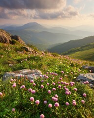 Wall Mural - Pink Clover Blooms in Mountain Meadow Landscape View at Sunset with Rolling Hills and Cloudy Sky Scenic Vista