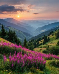 Wall Mural - Scenic mountain range landscape with vibrant wildflowers in foreground at sunset aerial view Carpathian Mountains