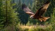 © Aris Suwanmalee - A majestic eagle soaring gracefully over a tranquil forest landscape.