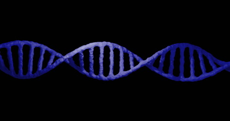 Wall Mural - displaying 3d dna double helix model twisting horizontally on solid black backdrop, gradient blue