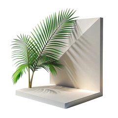 3d tropical palm leaf and geometric stage isolated on transparent background