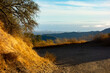 A shot of a hiking trail through the Santa Monica Mountains with a distant and hazy view of the Los Angeles cityscape