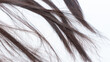 © JuliaDorian - Close-up view of split ends on dark brown hair strands, showcasing texture and damage, emphasizing hair care and maintenance concepts