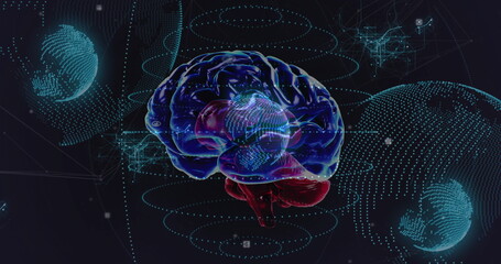Wall Mural - Glowing translucent brain model floating in virtual data space with globe wireframes, data rings