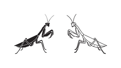 Praying mantis silhouette pair with transparent background