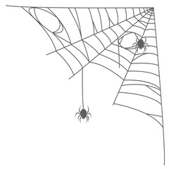Hanging Spider Web