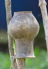 Wall Mural - A large vase is sitting on a tree branch