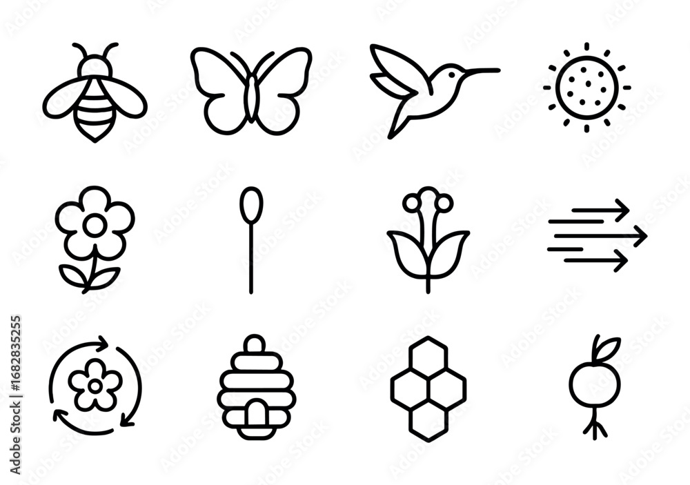 Pollination Process Icons. Outline icon set of pollination process: bee ...