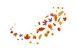 © Good Studio - Fall foliage. Autumn leaves falling from maple, oak, birch tree. Seasonal leaf group swirling, flying in air, dynamic motion. Nature decoration. Flat vector illustration isolated on white background