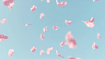 Pink flower petals falling against a soft blue sky