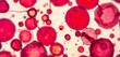 © Nibong - Close-up of a microscope slide showing stained cells,   pharmaceutical,  analysis