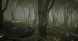 © icetray - A dense forest is shrouded in fog during the early morning. Tall trees stand closely together, their trunks covered in moss. Rocks and underbrush add to the wild, enchanting atmosphere.