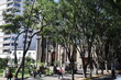 sights around town Guadalajara, Mexico daytime